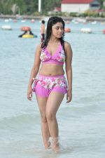 Payal Ghosh (Harika) in Bikini Swimwear Photoshoot on 30th May 2010 (127).JPG
